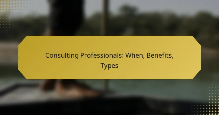Consulting Professionals: When, Benefits, Types