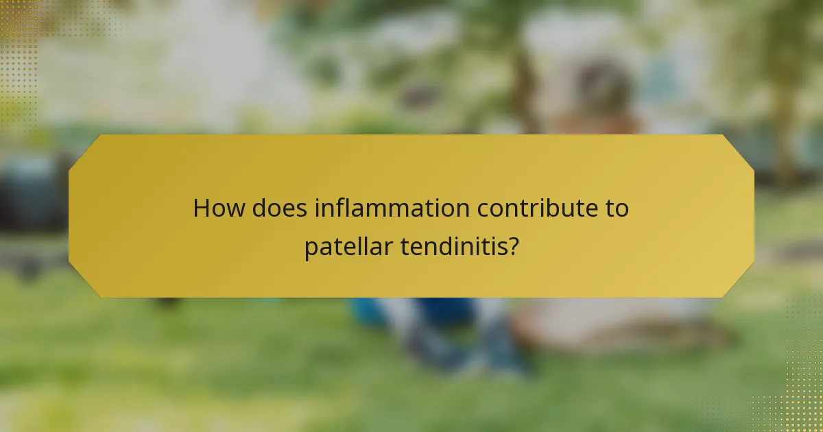 How does inflammation contribute to patellar tendinitis?