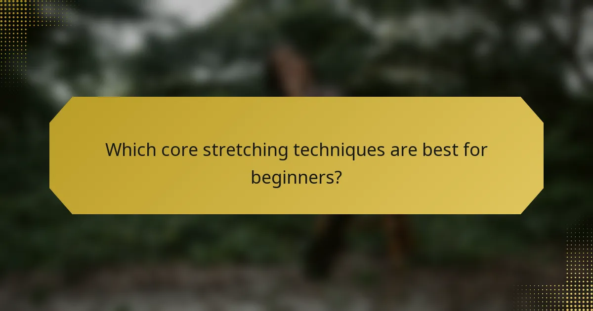 Which core stretching techniques are best for beginners?